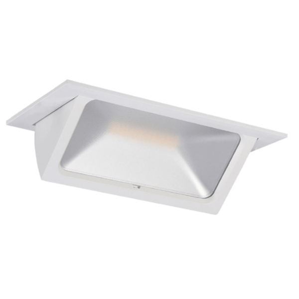 Shoplight Pro LED Wallwasher Recessed Adjustable Downlights