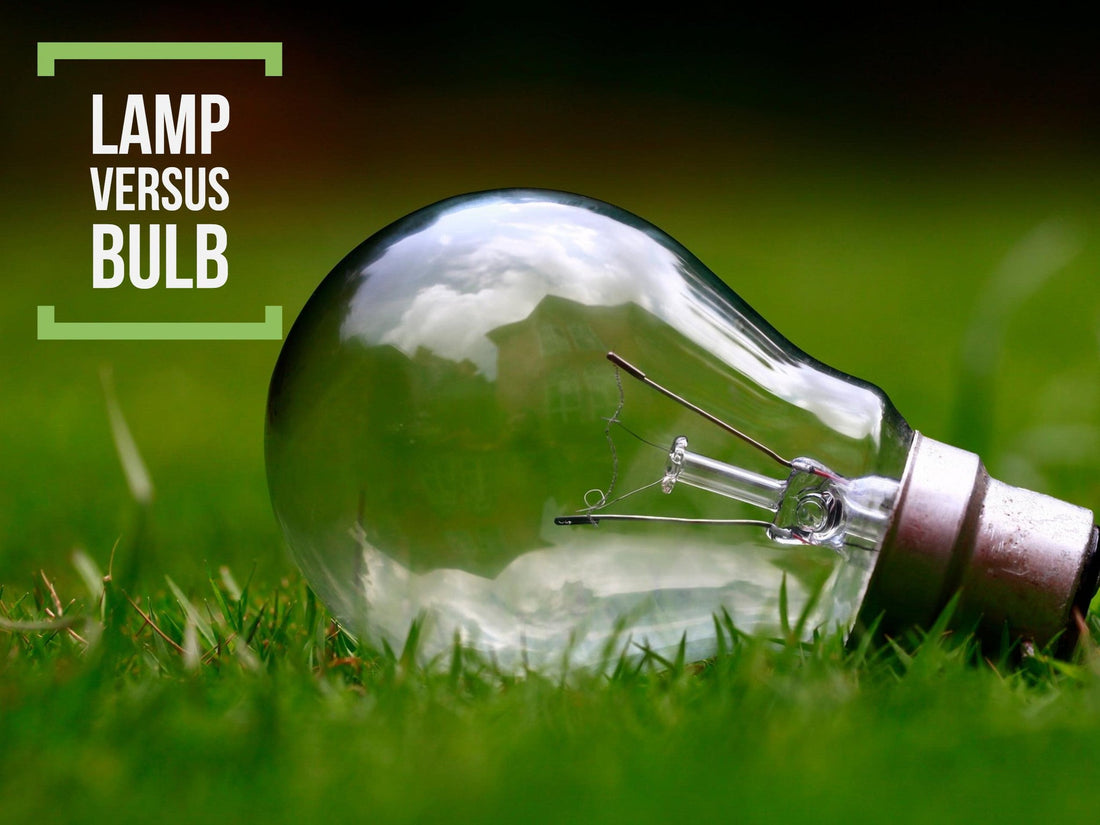 Lamp versus Bulb.