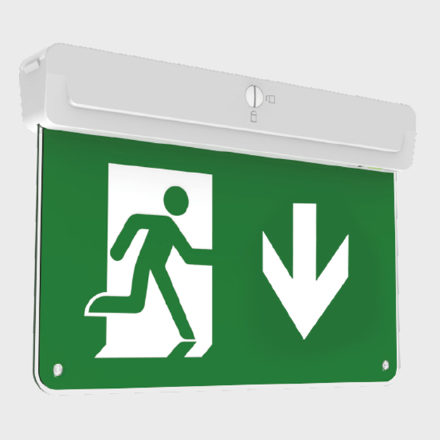 Red Arrow Athena Multi-Positional LED Emergency Exit Sign,  IP20, 2W,  LiFeP04, Arrow Down