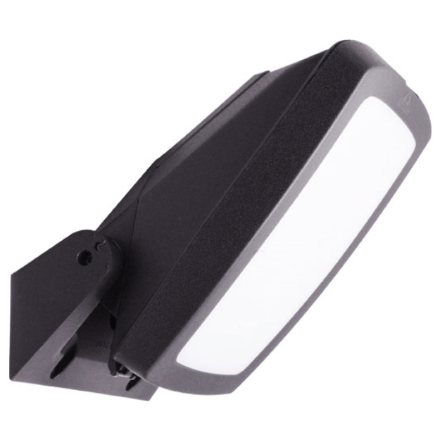 Fumagalli Germana Settable CCT LED Floodlight