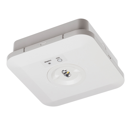 Red Arrow Sentinel Pro Surface LED Bulkhead - IP65, LiFeP0, 2W Product Close Up