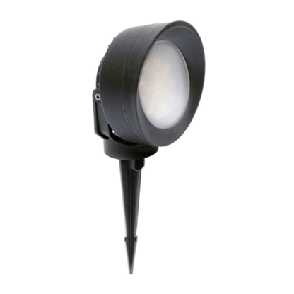 TOMMY Eyelid Spike Spotlight