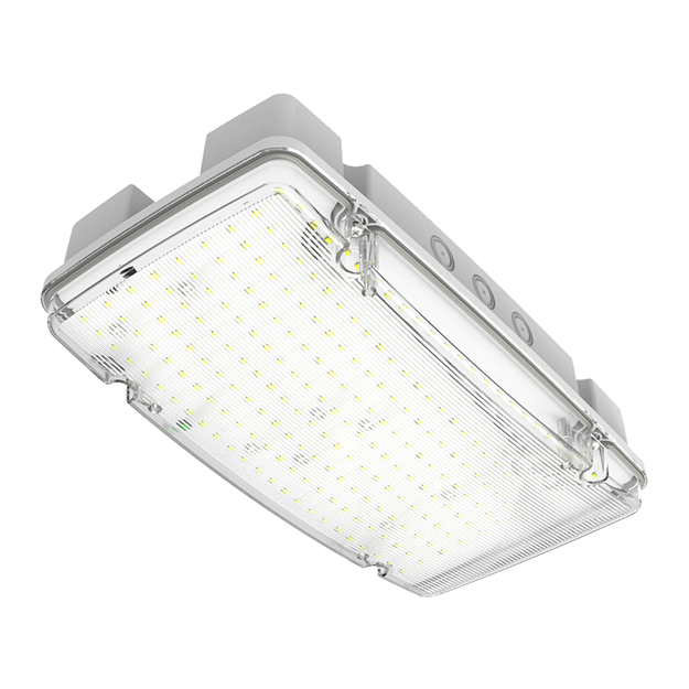 Red Arrow Vanguard Maxi High Output Emergency LED Bulkhead, IK08, IP66, 10W Close Up