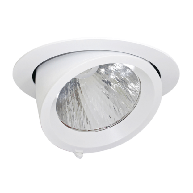 Shoplight Pro LED Wallwasher Recessed Adjustable Downlights - CMD Online
