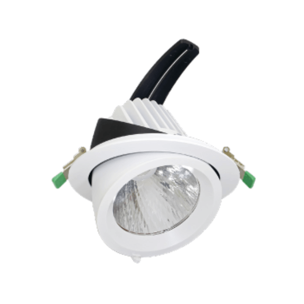 Shoplight Pro LED Wallwasher Recessed Adjustable Downlights - CMD Online