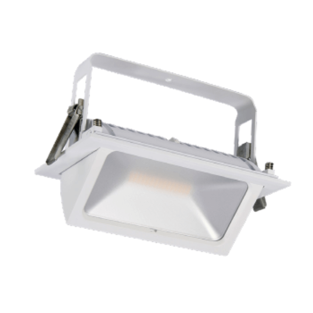 Shoplight Pro LED Wallwasher Recessed Adjustable Downlights CMD