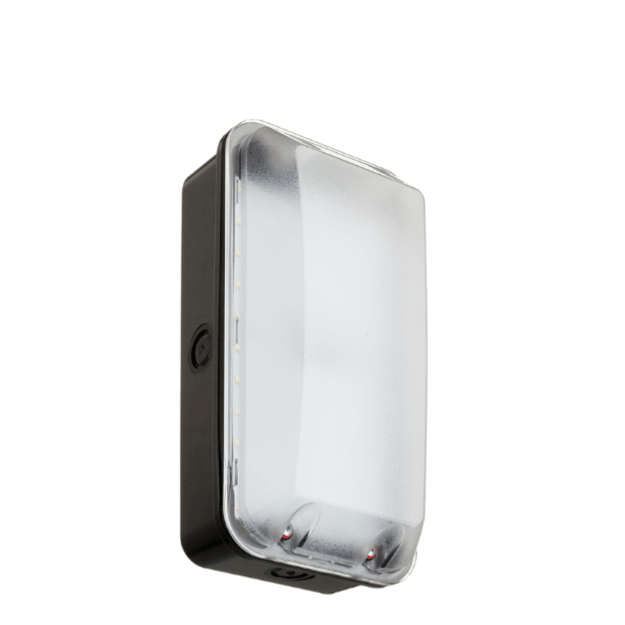 TAURUS 8W LED Site Lighting Bulkhead Dual Voltage 110 or 240v Clear Diffuser